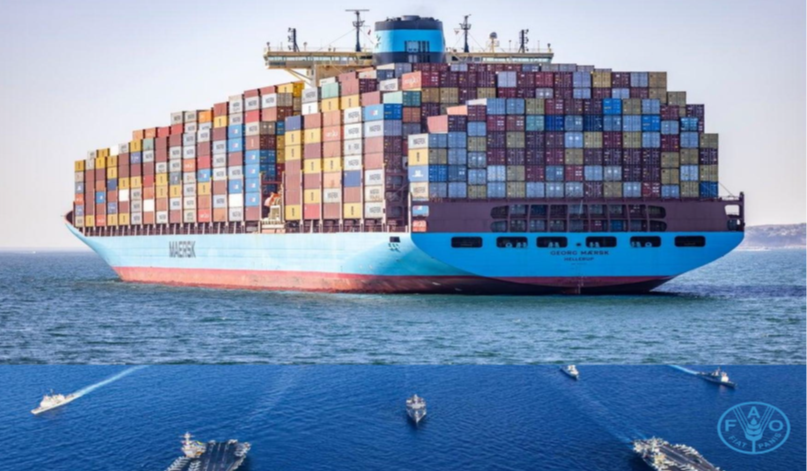 الأمم المتحدة تحذر: زيادة التوتر في البحر الأحمر سيؤدي إلى إغلاق الموانئ اليمنية وتفاقم الأزمة وتعطيل استيراد الغذاء والوقود