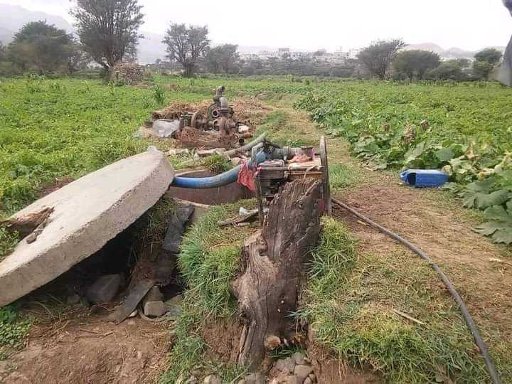 كارثة صحية وغياب تام للجهات المعنية.. مواطنون يشكون ري الخضروات بمياه المجاري