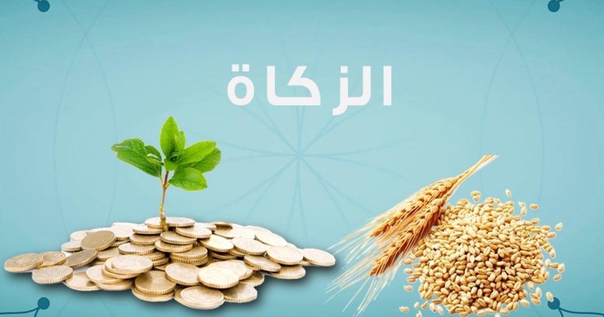زكاة الفطر.. طُهرة للصائم وإسعاد للفقير