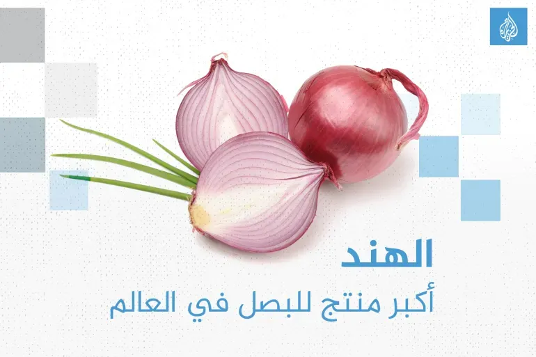 تعرف على أكبر منتجي ومصدري البصل بالعالم.. بينهم دولتان عربيتان