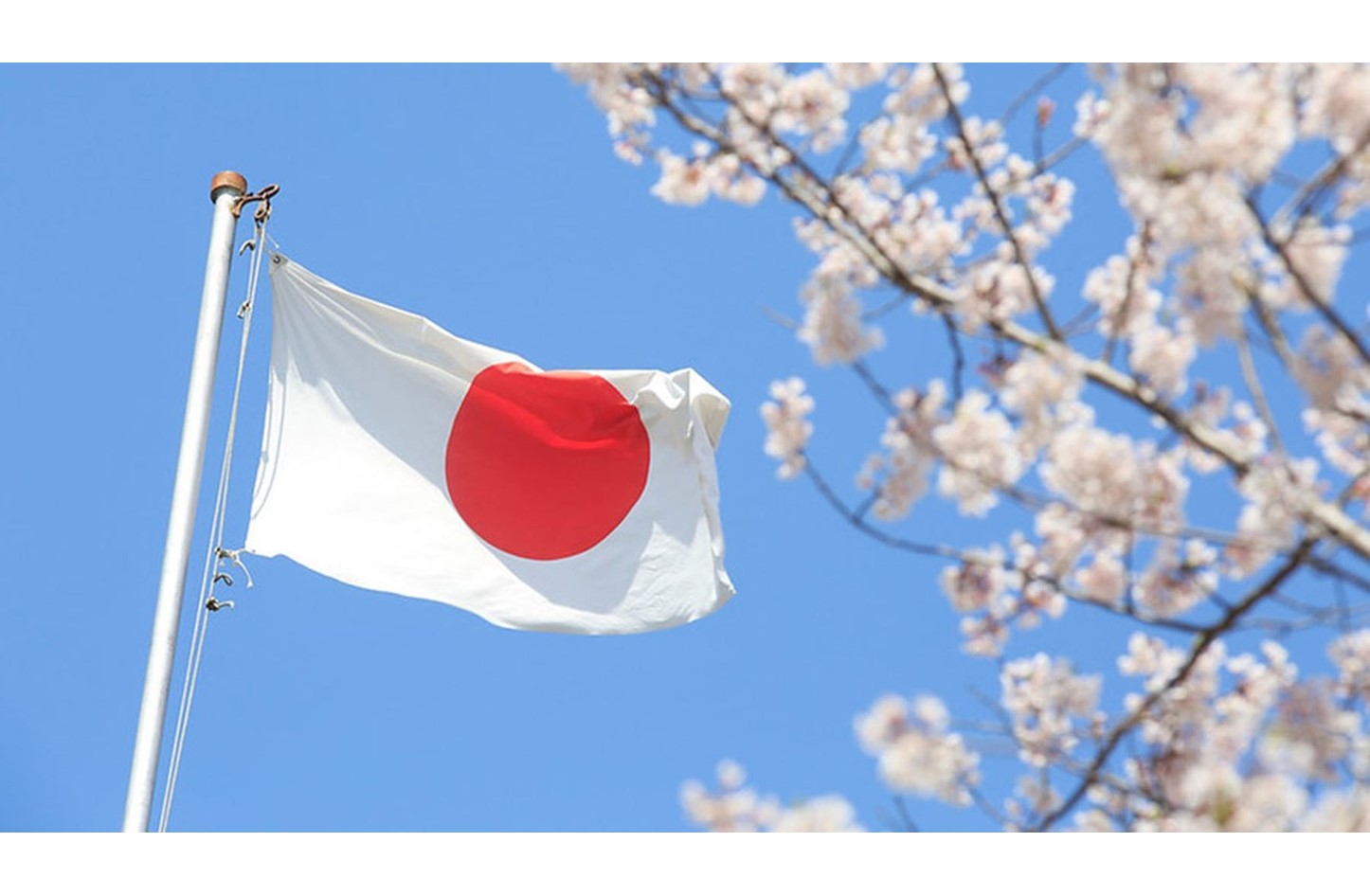 اليابان تقدم منحًا دراسية مجانية للطلاب اليمنيين للعام الدراسي 2025
