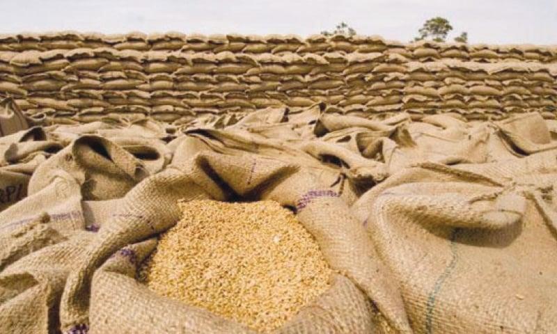 انفوجرافيك.. أكثر 10 بلدان مصدّرة للقمح بالعالم