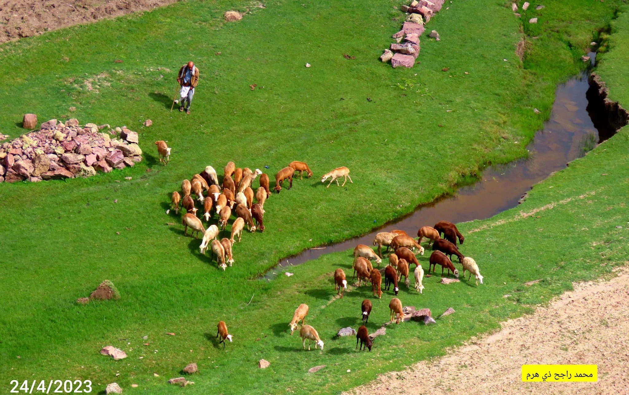 هل عشت قلق وخوف راعي الأغنام في الجبل؟